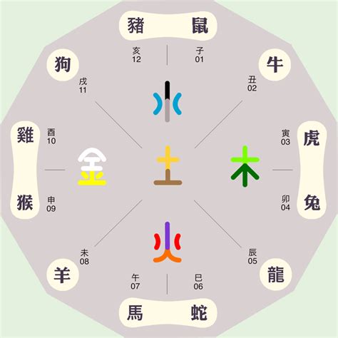 婕 五行|婕字的五行属性是什么